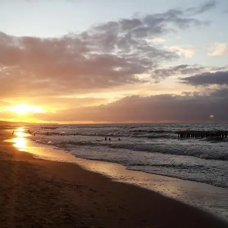 Azalia 32 L בית אירוח