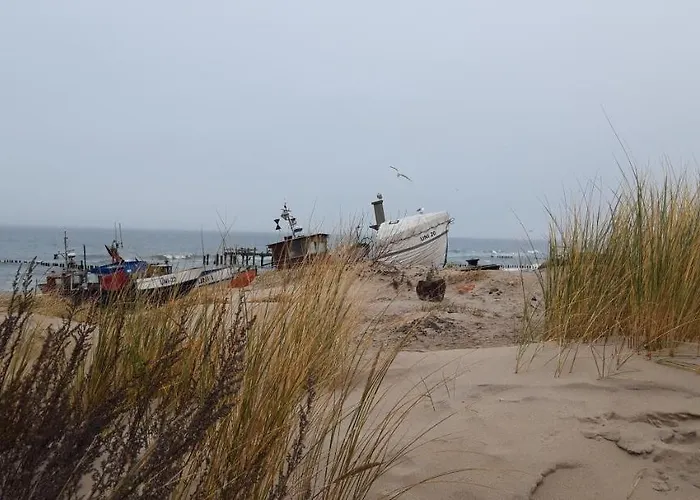 Azalia 32 L Pansiyon