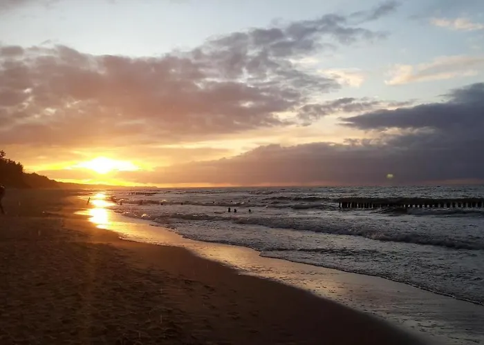 Azalia 32 L منزل للإقامة